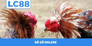 Đá Gà Online